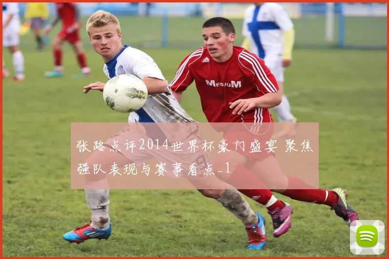 张路点评2014世界杯豪门盛宴 聚焦强队表现与赛事看点_1