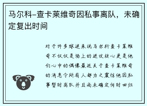 马尔科-查卡莱维奇因私事离队，未确定复出时间